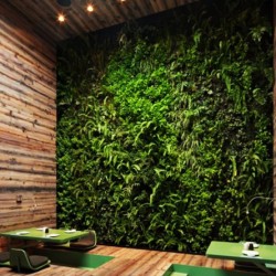 Zöld étterem: a környezetbarát munkatér