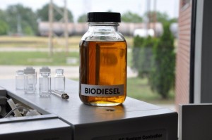 biodiesel_foto